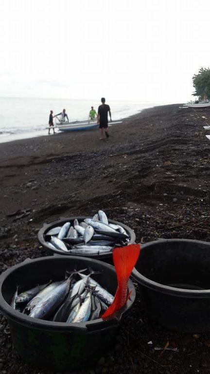 阿卢尔海滩民宿 艾湄湾 外观 照片